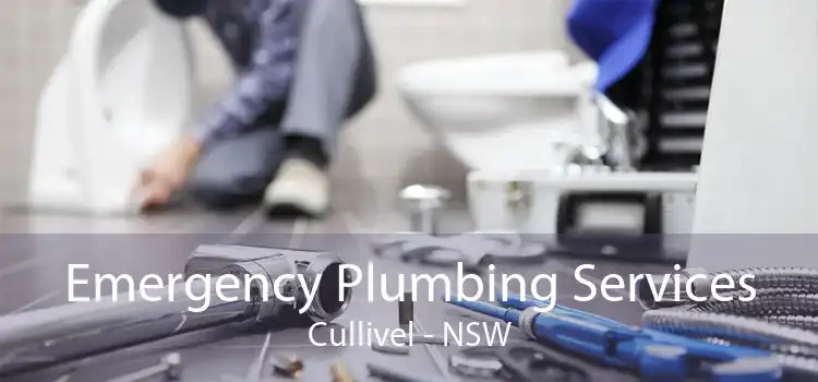 Emergency Plumbing Services Cullivel - NSW