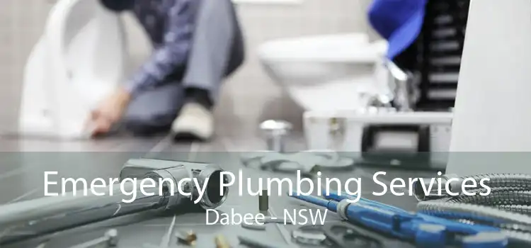 Emergency Plumbing Services Dabee - NSW
