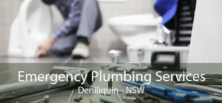 Emergency Plumbing Services Deniliquin - NSW