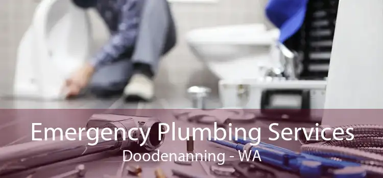 Emergency Plumbing Services Doodenanning - WA