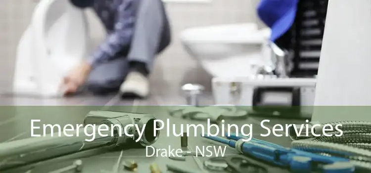 Emergency Plumbing Services Drake - NSW