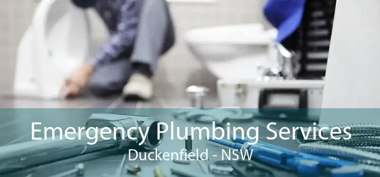 Emergency Plumbing Services Duckenfield - NSW