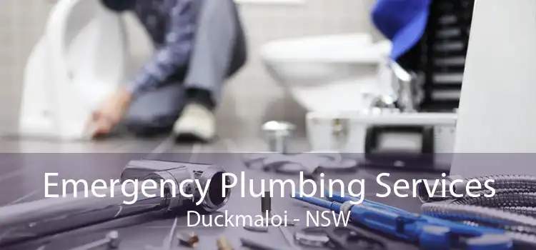 Emergency Plumbing Services Duckmaloi - NSW