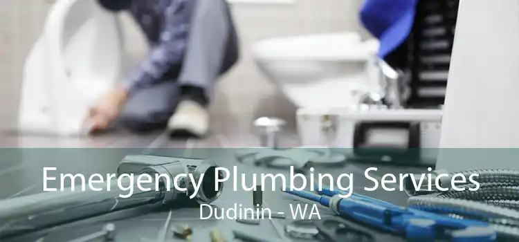 Emergency Plumbing Services Dudinin - WA
