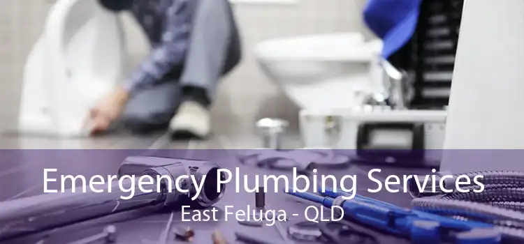 Emergency Plumbing Services East Feluga - QLD