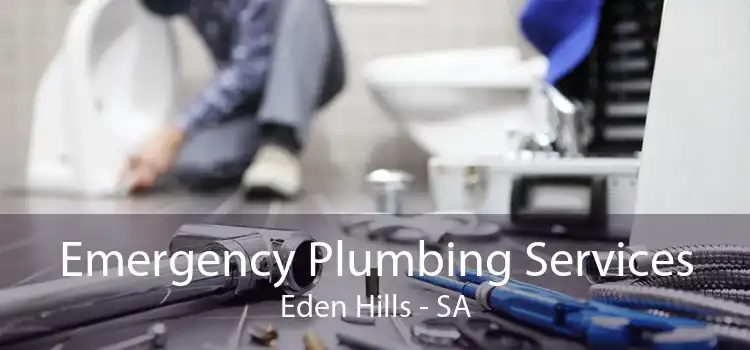 Emergency Plumbing Services Eden Hills - SA