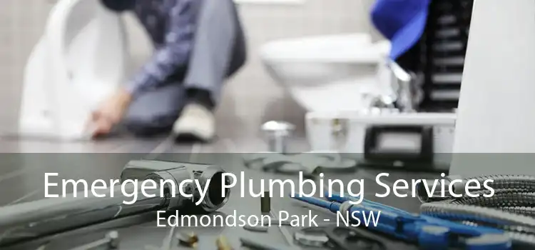 Emergency Plumbing Services Edmondson Park - NSW