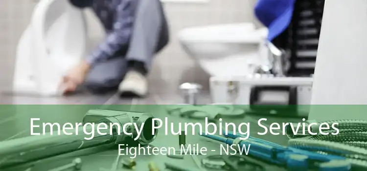 Emergency Plumbing Services Eighteen Mile - NSW