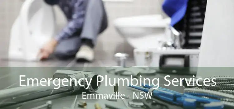 Emergency Plumbing Services Emmaville - NSW