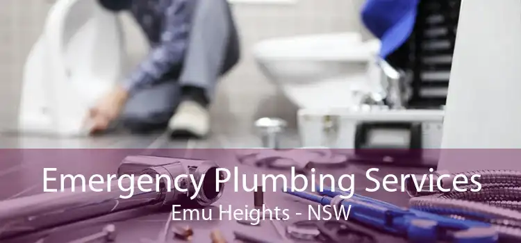 Emergency Plumbing Services Emu Heights - NSW