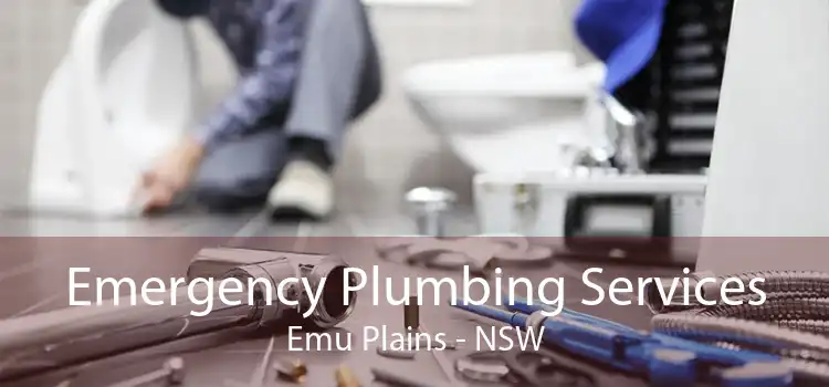 Emergency Plumbing Services Emu Plains - NSW
