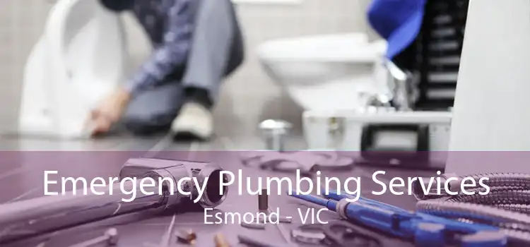 Emergency Plumbing Services Esmond - VIC