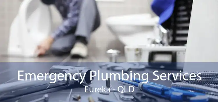 Emergency Plumbing Services Eureka - QLD