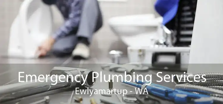 Emergency Plumbing Services Ewlyamartup - WA