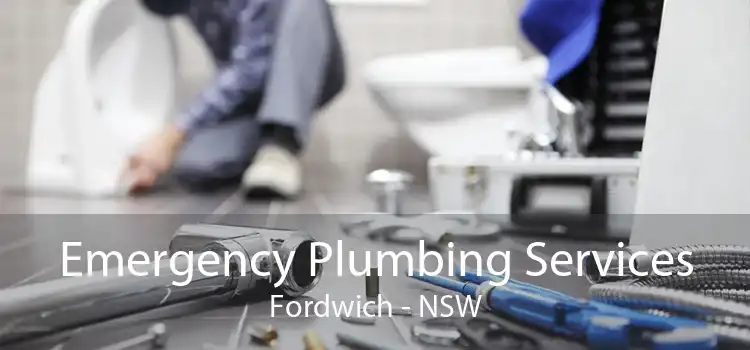 Emergency Plumbing Services Fordwich - NSW