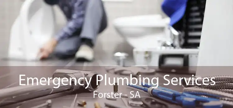 Emergency Plumbing Services Forster - SA