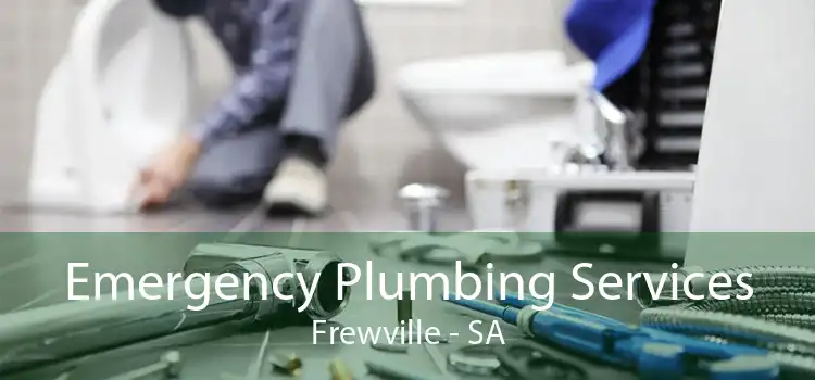 Emergency Plumbing Services Frewville - SA