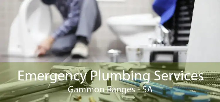 Emergency Plumbing Services Gammon Ranges - SA