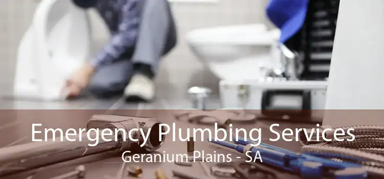 Emergency Plumbing Services Geranium Plains - SA