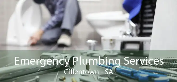 Emergency Plumbing Services Gillentown - SA