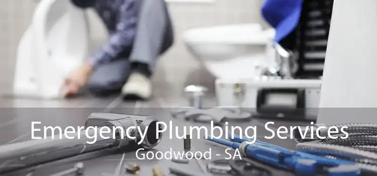 Emergency Plumbing Services Goodwood - SA