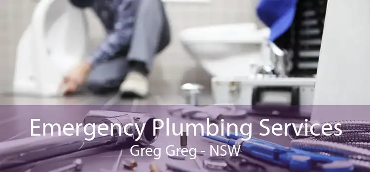 Emergency Plumbing Services Greg Greg - NSW