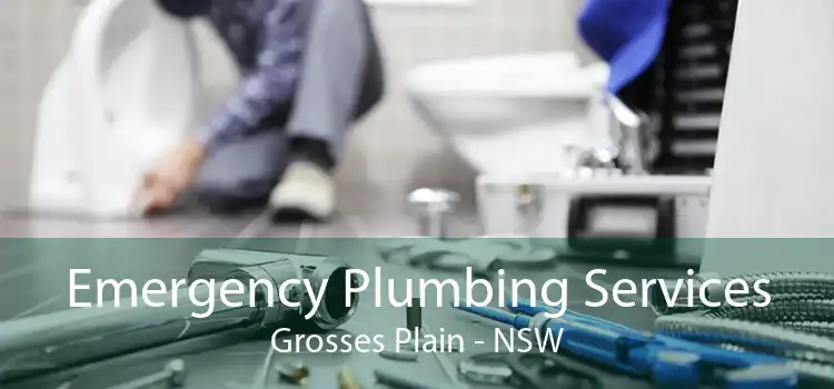 Emergency Plumbing Services Grosses Plain - NSW