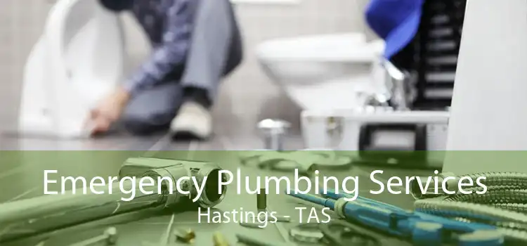 Emergency Plumbing Services Hastings - TAS