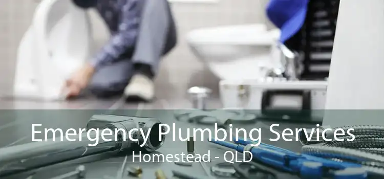 Emergency Plumbing Services Homestead - QLD