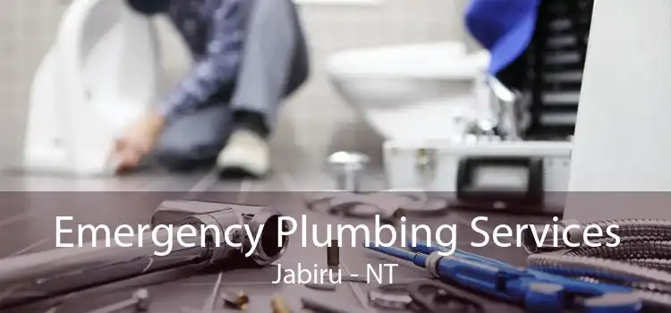 Emergency Plumbing Services Jabiru - NT