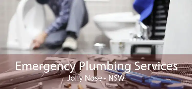 Emergency Plumbing Services Jolly Nose - NSW