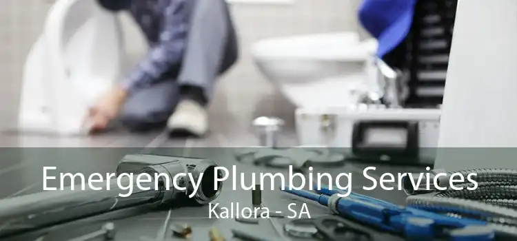 Emergency Plumbing Services Kallora - SA