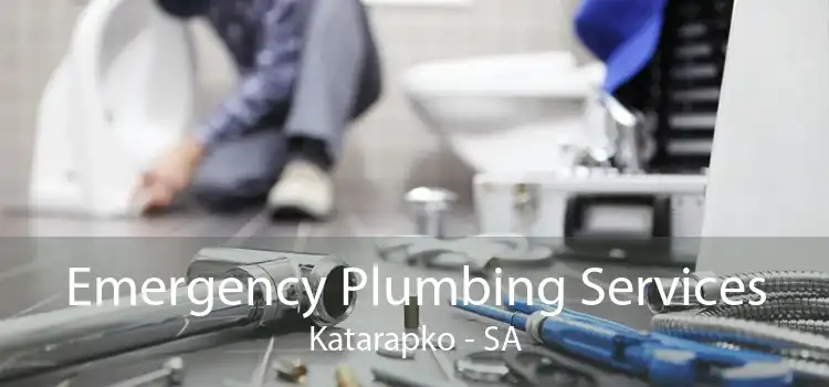 Emergency Plumbing Services Katarapko - SA