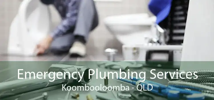 Emergency Plumbing Services Koombooloomba - QLD