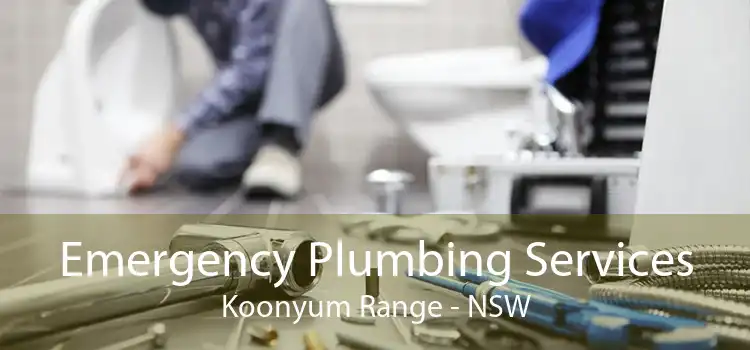Emergency Plumbing Services Koonyum Range - NSW