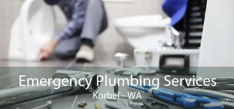 Emergency Plumbing Services Korbel - WA