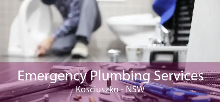 Emergency Plumbing Services Kosciuszko - NSW