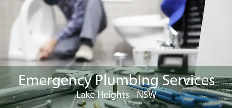 Emergency Plumbing Services Lake Heights - NSW