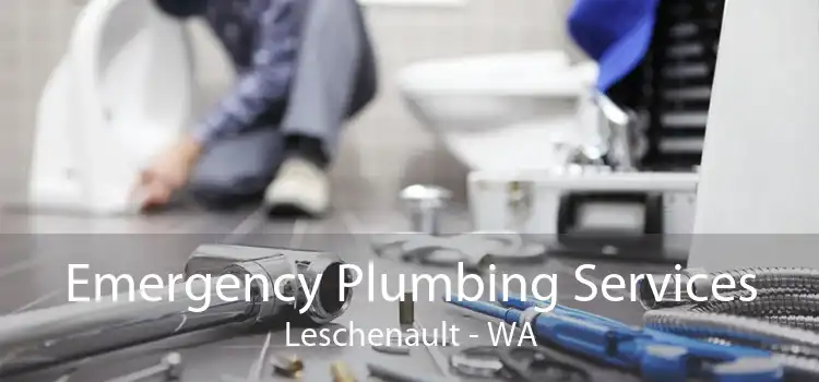 Emergency Plumbing Services Leschenault - WA