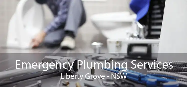 Emergency Plumbing Services Liberty Grove - NSW