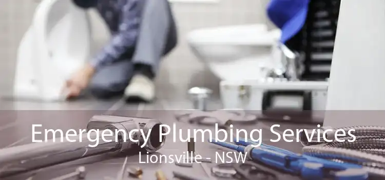 Emergency Plumbing Services Lionsville - NSW