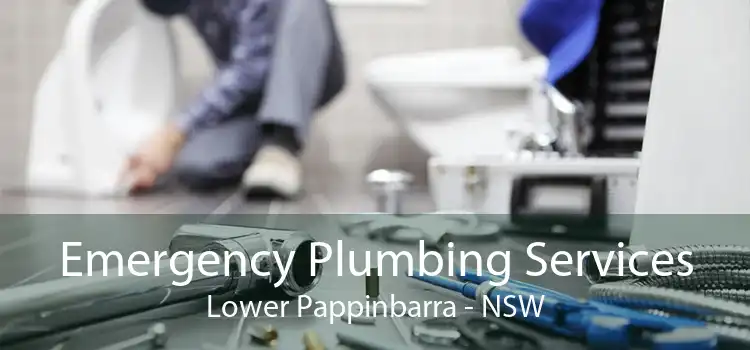 Emergency Plumbing Services Lower Pappinbarra - NSW