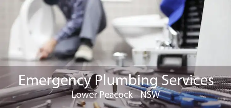 Emergency Plumbing Services Lower Peacock - NSW
