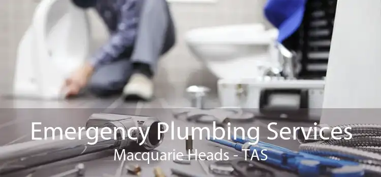 Emergency Plumbing Services Macquarie Heads - TAS