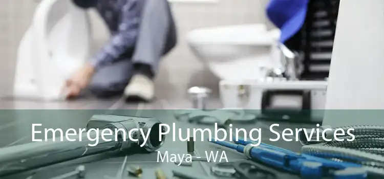 Emergency Plumbing Services Maya - WA