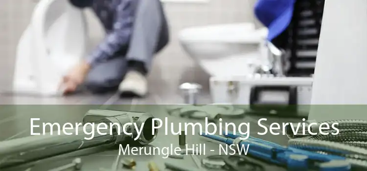 Emergency Plumbing Services Merungle Hill - NSW