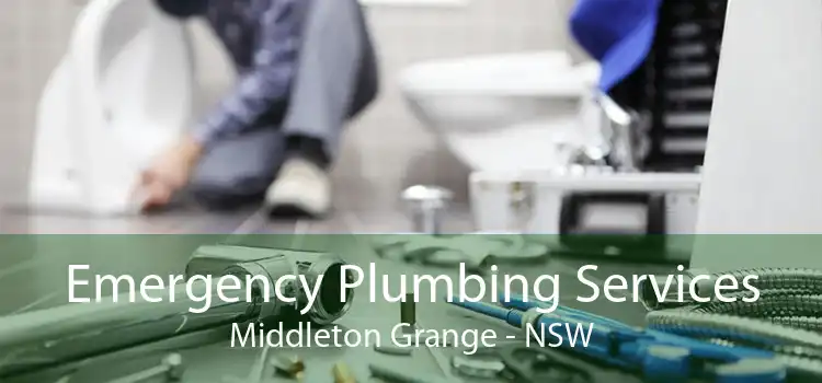 Emergency Plumbing Services Middleton Grange - NSW