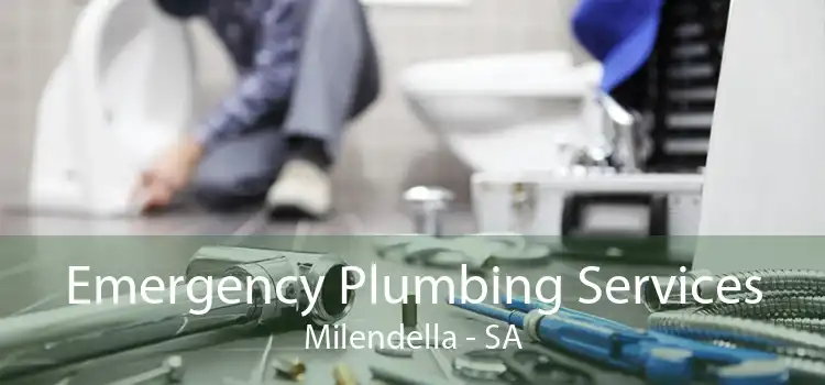 Emergency Plumbing Services Milendella - SA