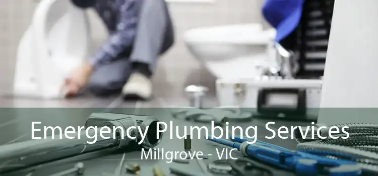 Emergency Plumbing Services Millgrove - VIC