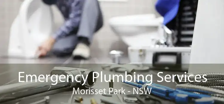 Emergency Plumbing Services Morisset Park - NSW